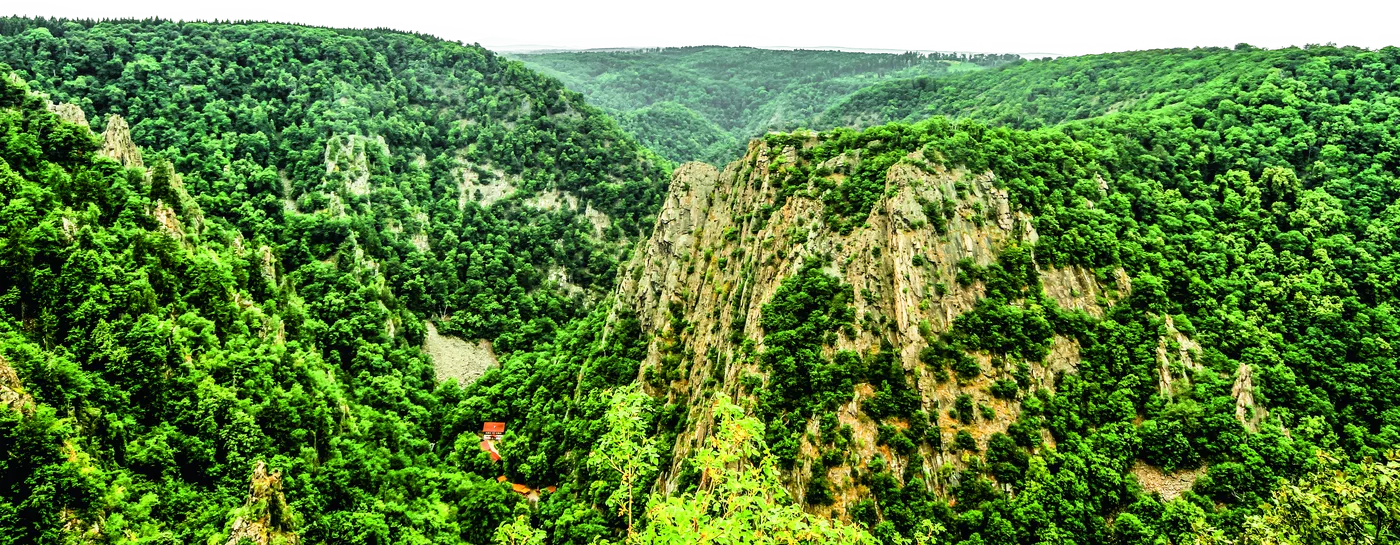Blick über die bewaldete Bodetal-Schlucht auf das Roßtrappenmassiv Blick über die bewaldete Bodetal-Schlucht auf das Roßtrappenmassiv